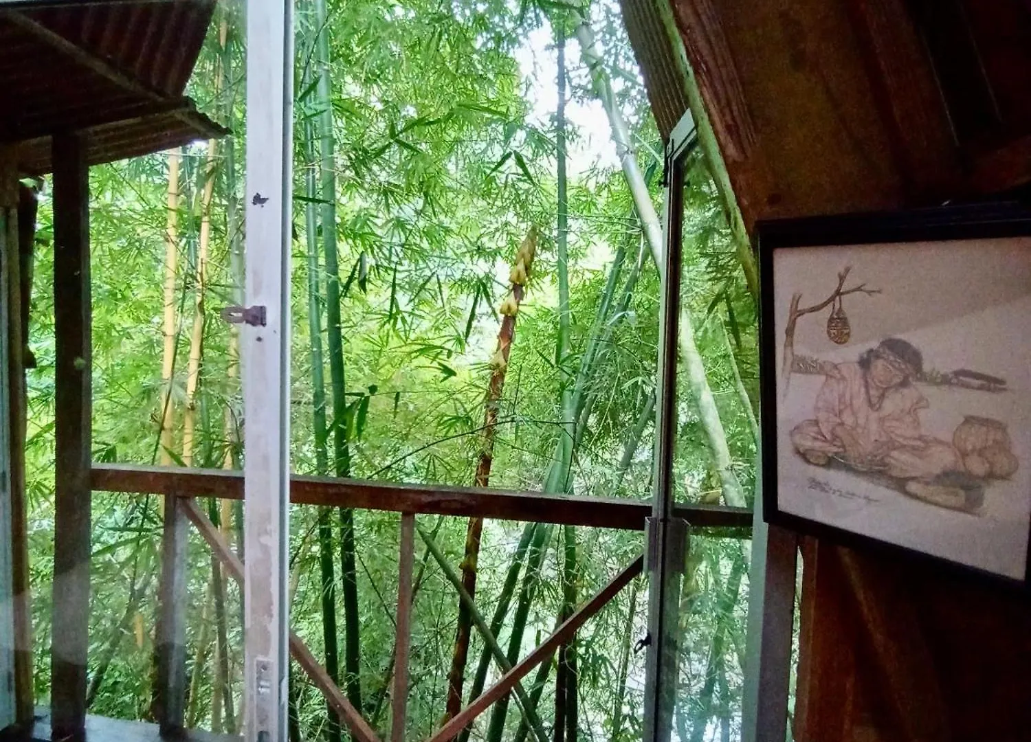 Hostal Las Mariposas Minca 0*,