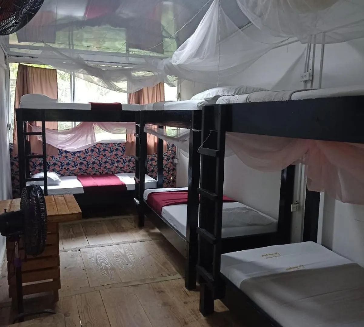 Hostal Las Mariposas Minca Auberge de jeunesse